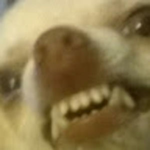 Meet your Posher, Dayne